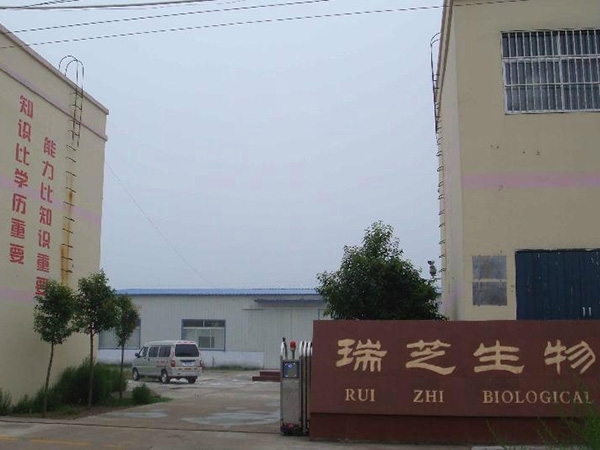 Shandong Ruizhi Biotechnology