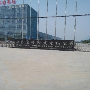 山东康姆勒发电机公司